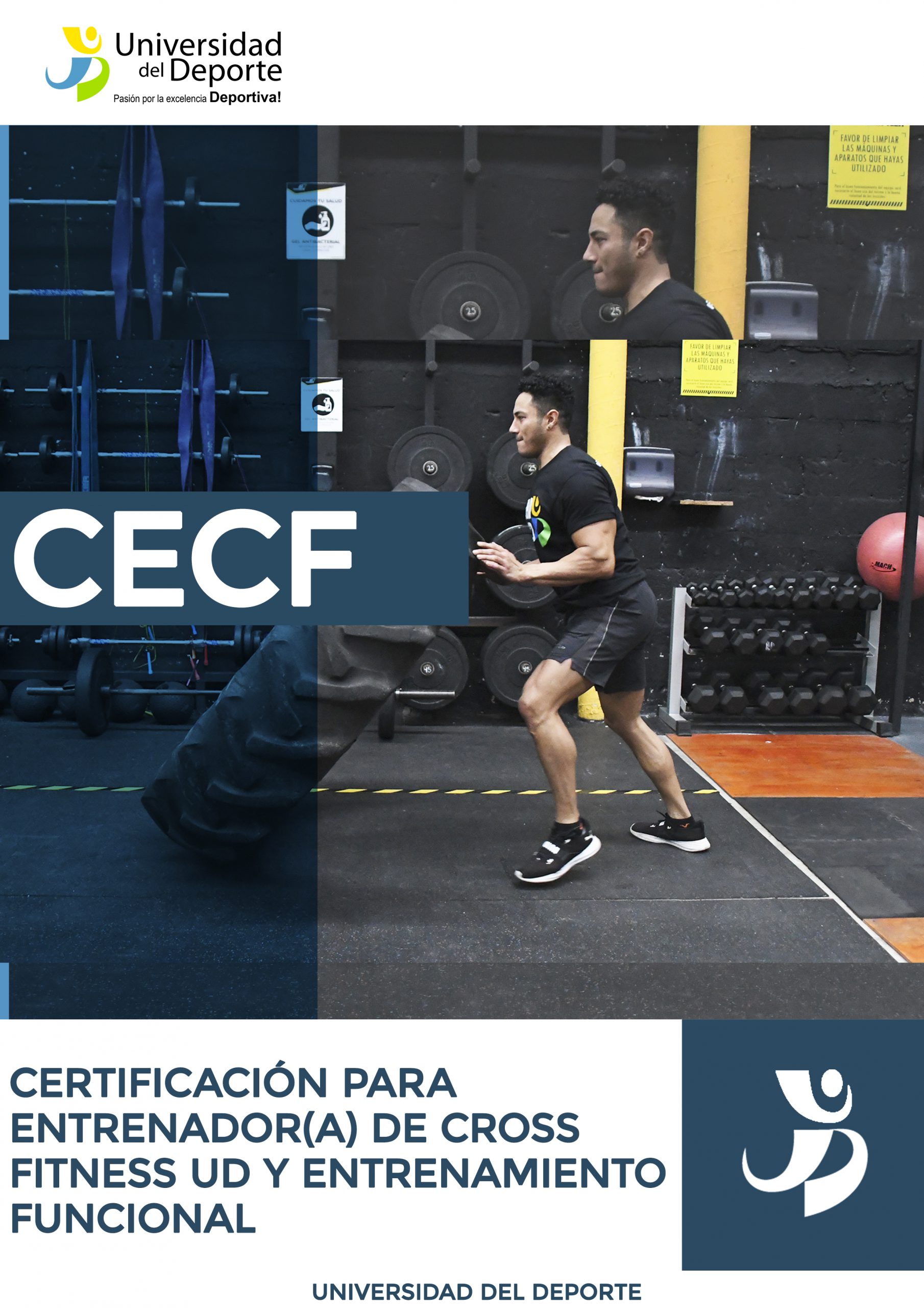 PORTADA_CECF