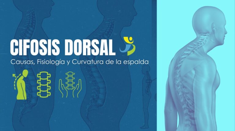 CIFOSIS DORSAL: CAUSAS, FISIOLOGÍA Y CURVATURA DE LA ESPALDA